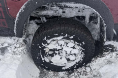 IMG_20210315_061922_301