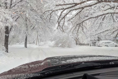 PXL_20210314_141858592