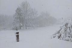 PXL_20210314_165915771