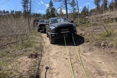 PXL_20210522_163534198-copy