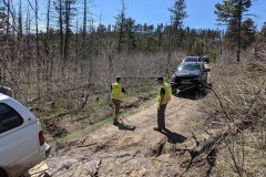 PXL_20210522_164647906-copy