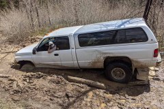 PXL_20210522_170226879-copy