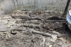 PXL_20210522_170801896-copy