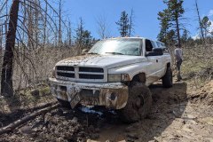 PXL_20210522_170829729-copy