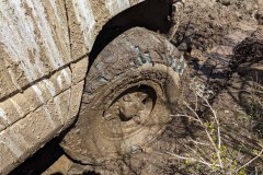 PXL_20210522_171436805-copy