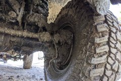 PXL_20210522_172819817-copy