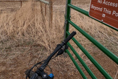 PXL_20220524_181137389