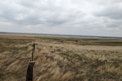 PXL_20220524_182256793