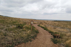 PXL_20220524_182259238-copy