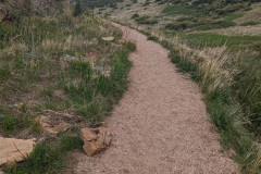 PXL_20220524_183558344-copy