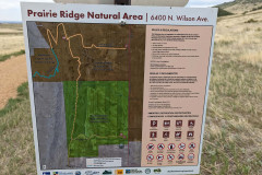 PXL_20220524_184617956