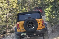 PXL_20211130_192652286-copy