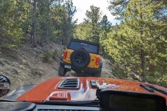 PXL_20211130_193137411-copy