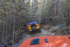 PXL_20211130_200246526-copy