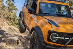 PXL_20211130_201841256-copy