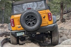 PXL_20211130_211319947-copy