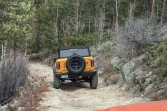 PXL_20211130_212008750-copy